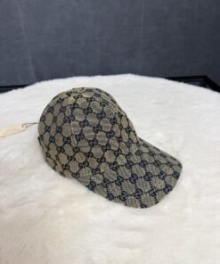 gucci grey pet classic