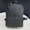 Gucci Grey Rugtas
